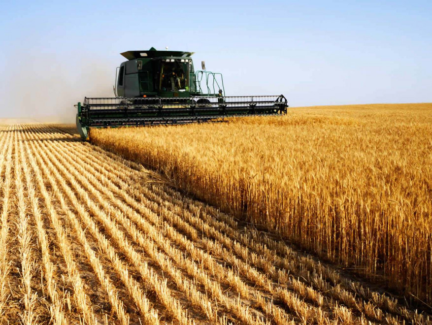 Украинское сельское хозяйство получит $10 млрд. инвестиций от Саудовской Аравии